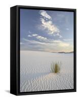 Yucca Growing in Rippled Sand, White Sands National Monument, New Mexico, USA-James Hager-Framed Stretched Canvas