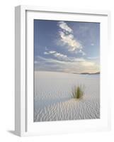 Yucca Growing in Rippled Sand, White Sands National Monument, New Mexico, USA-James Hager-Framed Photographic Print
