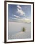 Yucca Growing in Rippled Sand, White Sands National Monument, New Mexico, USA-James Hager-Framed Photographic Print