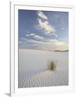 Yucca Growing in Rippled Sand, White Sands National Monument, New Mexico, USA-James Hager-Framed Photographic Print