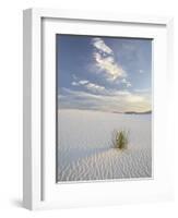 Yucca Growing in Rippled Sand, White Sands National Monument, New Mexico, USA-James Hager-Framed Photographic Print