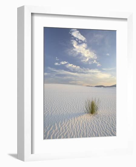 Yucca Growing in Rippled Sand, White Sands National Monument, New Mexico, USA-James Hager-Framed Photographic Print