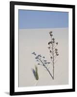 Yucca on Dune, White Sands National Monument, New Mexico, United States of America, North America-James Hager-Framed Photographic Print