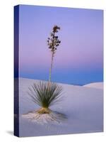 Yucca on Dunes at Dusk, Heart of the Dunes, White Sands National Monument, New Mexico, USA-Scott T^ Smith-Stretched Canvas