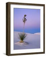 Yucca on Dunes at Dusk, Heart of the Dunes, White Sands National Monument, New Mexico, USA-Scott T^ Smith-Framed Photographic Print