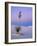 Yucca on Dunes at Dusk, Heart of the Dunes, White Sands National Monument, New Mexico, USA-Scott T^ Smith-Framed Photographic Print