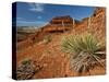 Yucca on Red Soil in Canyon Lands on Northern Wyoming, Usa-Larry Ditto-Stretched Canvas