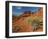 Yucca on Red Soil in Canyon Lands on Northern Wyoming, Usa-Larry Ditto-Framed Photographic Print