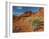 Yucca on Red Soil in Canyon Lands on Northern Wyoming, Usa-Larry Ditto-Framed Photographic Print