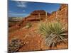 Yucca on Red Soil in Canyon Lands on Northern Wyoming, Usa-Larry Ditto-Mounted Photographic Print