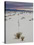 Yucca on the Dunes at Sunrise, White Sands National Monument, New Mexico, USA, North America-James Hager-Stretched Canvas