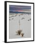 Yucca on the Dunes at Sunrise, White Sands National Monument, New Mexico, USA, North America-James Hager-Framed Photographic Print