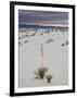 Yucca on the Dunes at Sunrise, White Sands National Monument, New Mexico, USA, North America-James Hager-Framed Photographic Print