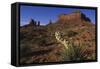 Yucca Plant and Sandstone Monument-Paul Souders-Framed Stretched Canvas