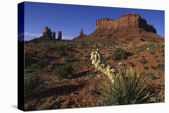 Yucca Plant and Sandstone Monument-Paul Souders-Stretched Canvas