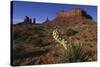 Yucca Plant and Sandstone Monument-Paul Souders-Stretched Canvas