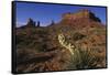 Yucca Plant and Sandstone Monument-Paul Souders-Framed Stretched Canvas