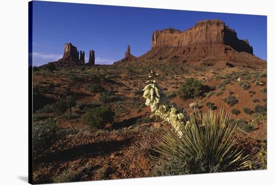 Yucca Plant and Sandstone Monument-Paul Souders-Stretched Canvas