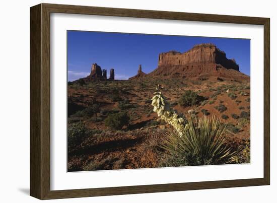 Yucca Plant and Sandstone Monument-Paul Souders-Framed Photographic Print