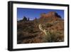 Yucca Plant and Sandstone Monument-Paul Souders-Framed Photographic Print