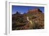 Yucca Plant and Sandstone Monument-Paul Souders-Framed Photographic Print