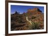 Yucca Plant and Sandstone Monument-Paul Souders-Framed Photographic Print