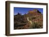 Yucca Plant and Sandstone Monument-Paul Souders-Framed Photographic Print