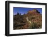 Yucca Plant and Sandstone Monument-Paul Souders-Framed Photographic Print