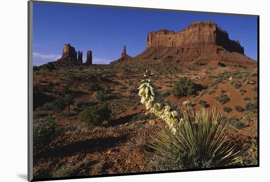 Yucca Plant and Sandstone Monument-Paul Souders-Mounted Photographic Print