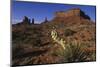 Yucca Plant and Sandstone Monument-Paul Souders-Mounted Photographic Print
