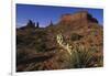 Yucca Plant and Sandstone Monument-Paul Souders-Framed Photographic Print