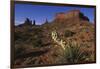 Yucca Plant and Sandstone Monument-Paul Souders-Framed Photographic Print
