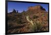 Yucca Plant and Sandstone Monument-Paul Souders-Framed Photographic Print