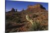 Yucca Plant and Sandstone Monument-Paul Souders-Stretched Canvas