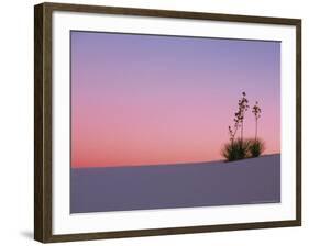 Yucca Plant, White Sands, New Mexico, USA-Dee Ann Pederson-Framed Photographic Print