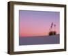 Yucca Plant, White Sands, New Mexico, USA-Dee Ann Pederson-Framed Photographic Print