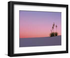 Yucca Plant, White Sands, New Mexico, USA-Dee Ann Pederson-Framed Photographic Print