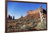 Yucca Plant with Sandstone Monument, Monument Valley Tribal Park, Arizona, USA-Paul Souders-Framed Photographic Print