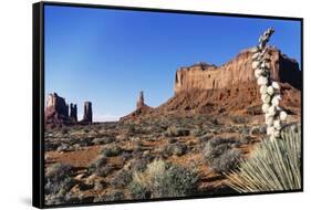 Yucca Plant with Sandstone Monument, Monument Valley Tribal Park, Arizona, USA-Paul Souders-Framed Stretched Canvas