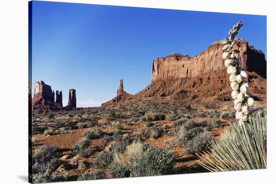 Yucca Plant with Sandstone Monument, Monument Valley Tribal Park, Arizona, USA-Paul Souders-Stretched Canvas