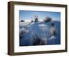 Yucca plants in desert, White Sands National Monument, New Mexico, USA-Panoramic Images-Framed Photographic Print