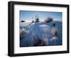 Yucca plants in desert, White Sands National Monument, New Mexico, USA-Panoramic Images-Framed Photographic Print