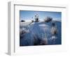 Yucca plants in desert, White Sands National Monument, New Mexico, USA-Panoramic Images-Framed Photographic Print