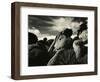 Yucca Valley, California, 1953-Brett Weston-Framed Photographic Print