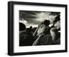 Yucca Valley, California, 1953-Brett Weston-Framed Photographic Print