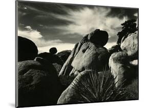 Yucca Valley, California, 1953-Brett Weston-Mounted Photographic Print