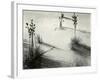 Yucca, White Sands, 1946-Brett Weston-Framed Photographic Print