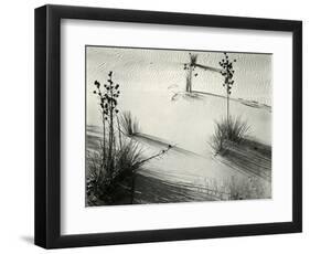 Yucca, White Sands, 1946-Brett Weston-Framed Photographic Print