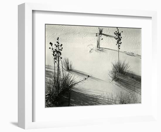 Yucca, White Sands, 1946-Brett Weston-Framed Photographic Print