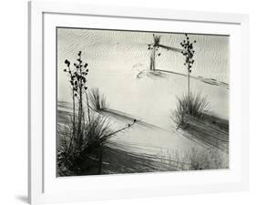 Yucca, White Sands, 1946-Brett Weston-Framed Photographic Print